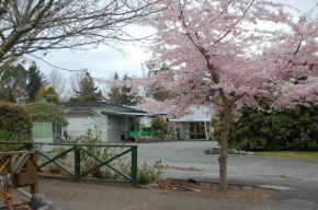 Отель Tongariro River Motel  Терейнджи